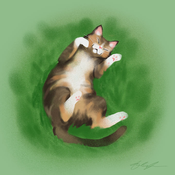 August Kitty