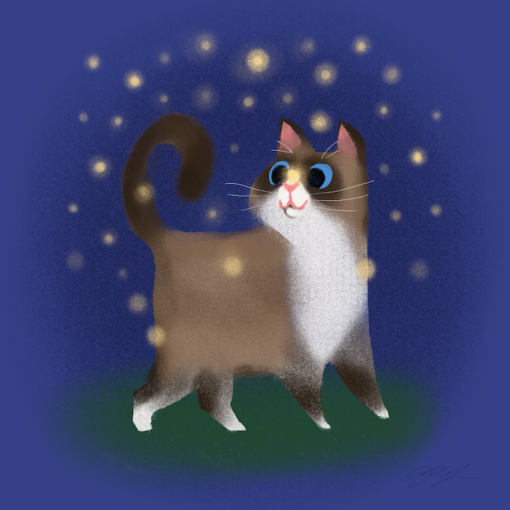 July Kitty