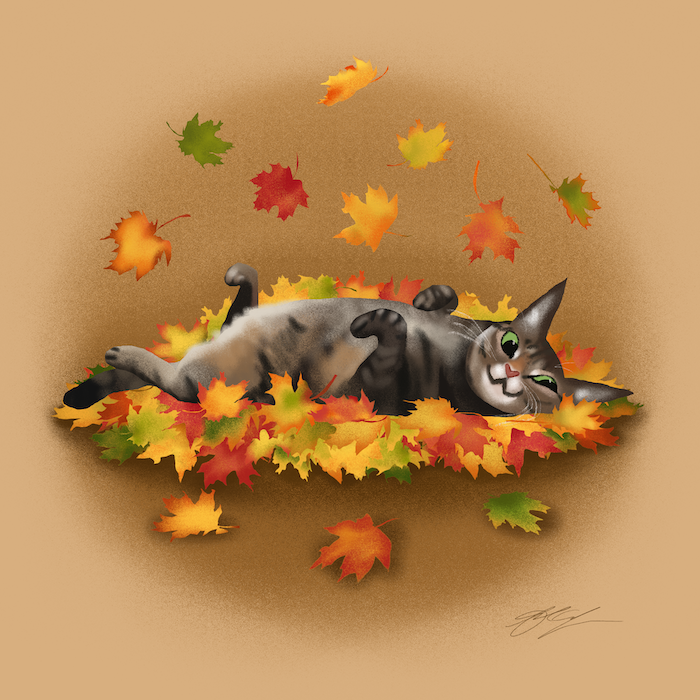 November Kitty