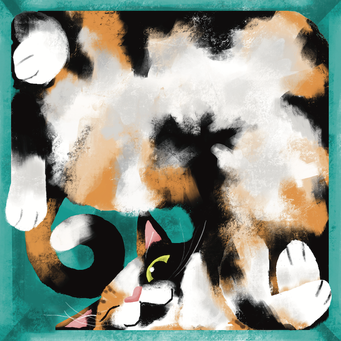 Calico