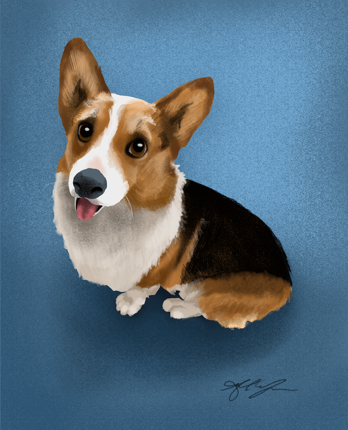 Douglas