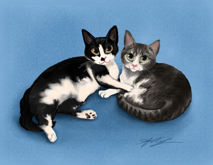Felix & Dobby